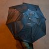 Umbrella (from The Appleseed Necklace)