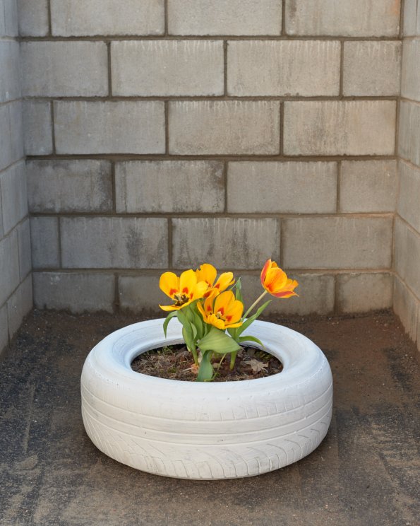 Flower Pot (from The Appleseed Necklace)