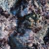 print-001-002_1