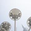 _MG_6902NET