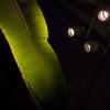 _MG_7778A0_1
