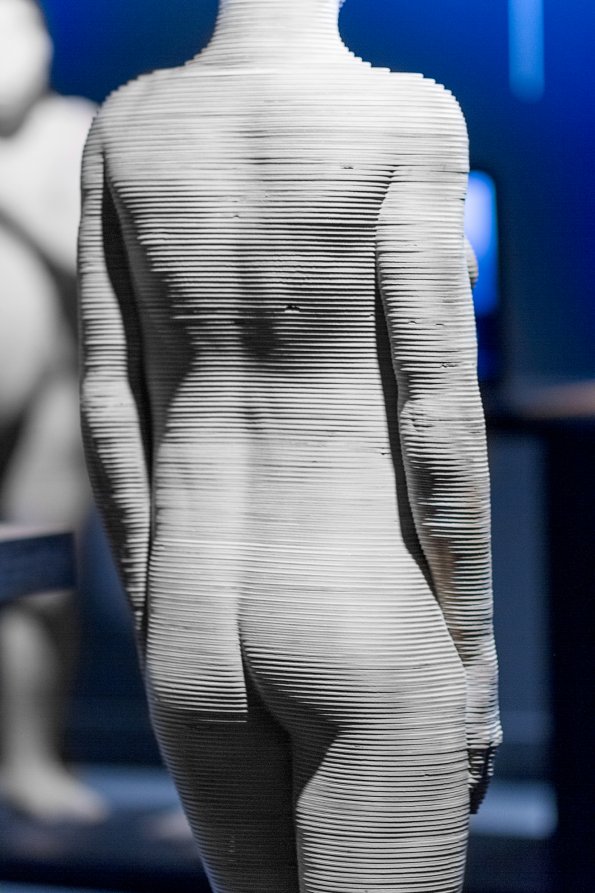Androïde_