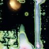 PSR J0737-3039_Laniakea
