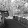 Image 003