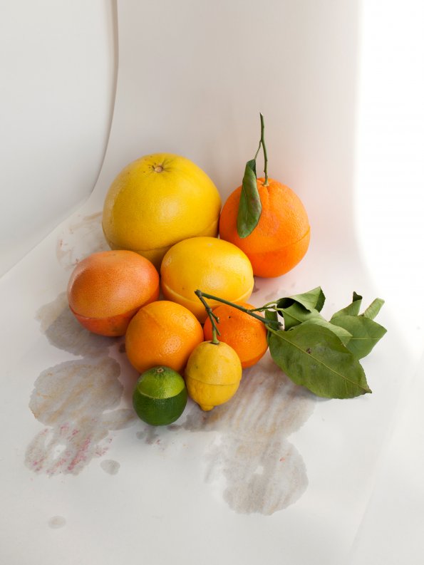 Citrus Comparison, 2018