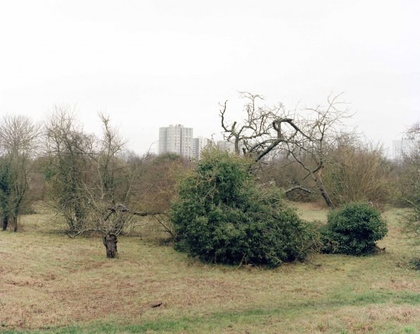 Image 006