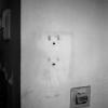 HR_TAOP_0001