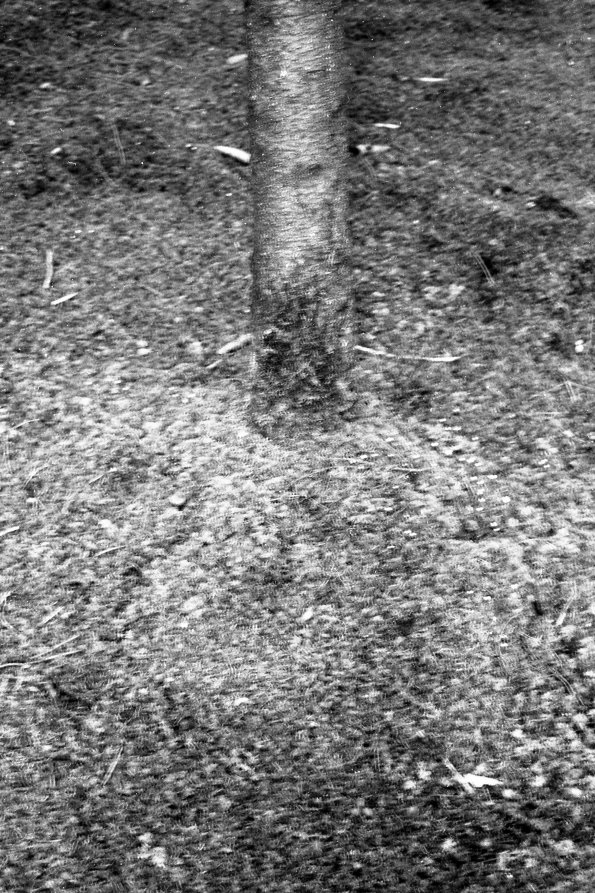 HR_TAOP_0004