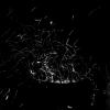 HR_TAOP_0006