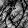 paul_hennebelle-3