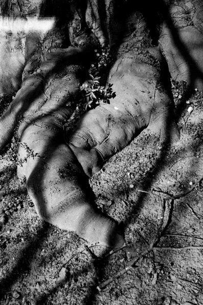 paul_hennebelle-3
