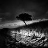 paul_hennebelle-8