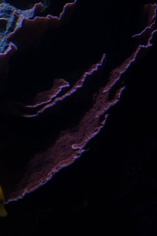 DSC01008